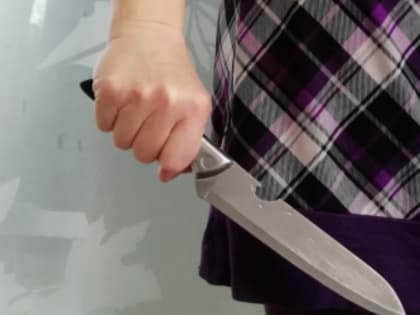 Оглашен приговор школьнице-убийце из Новосибирской области