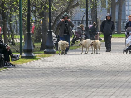 Арктическое вторжение предстоит встретить Новосибирску