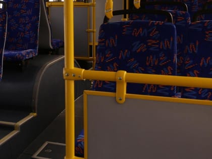 Автобус Новосибирск — Усть-Каменогорск с 28 пассажирами съехал в кювет