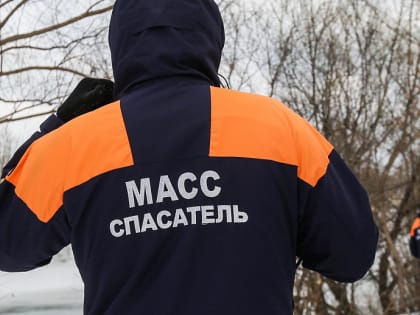 Новосибирские спасатели достали застрявшую в дырке забора собаку