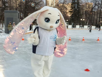 Катки Новосибирска: 19 популярных мест, где можно покататься на коньках