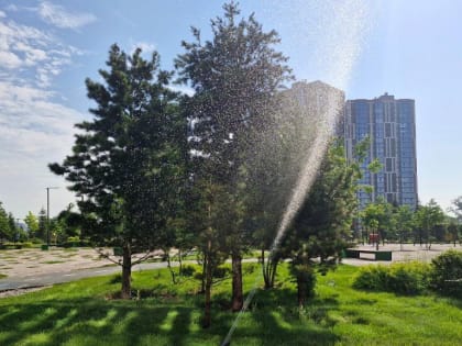 В Новосибирской области обещают жару до +36 градусов в ближайшее время