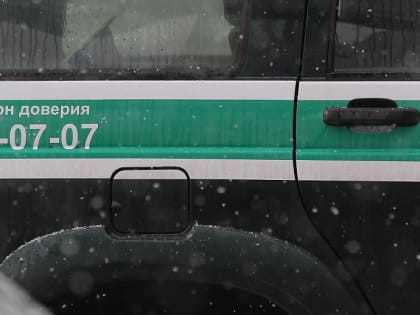 Судебные приставы помогли бабушке из Новосибирска видеться с внучкой