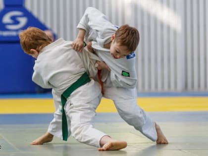 Детско-юношеская спортшкола Колывани выплатила незаконно уволенному тренеру дзюдо больше 1млн. руб.