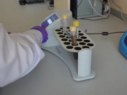 Наночастицы мела помогут доставить лекарство точно к раковой опухоли