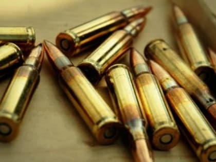 Незаконно приобрел и хранил боеприпасы