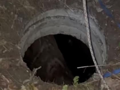 Провалившегося в колодец лося спасают в Первомайском районе