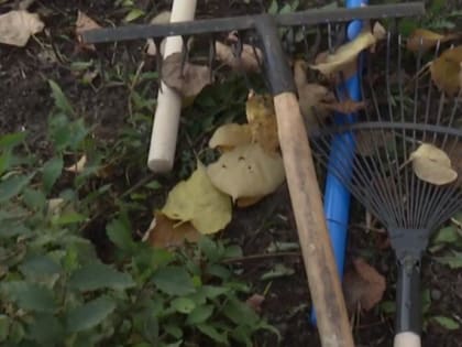 Неравнодушные новосибирцы досрочно вышли на субботник