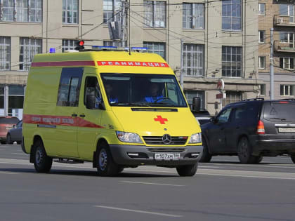 Лихорадку Денге нашли у пяти туристов из Новосибирской области