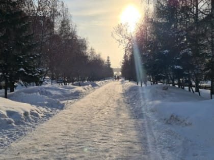 Погода в Новосибирске: 15 января будет не очень холодно