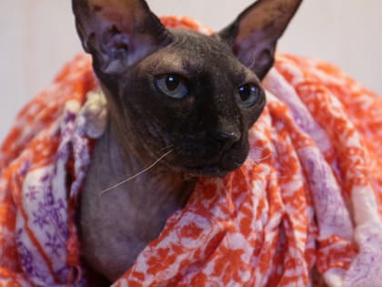 222 здания отключили от тепла в Новосибирске почти на сутки