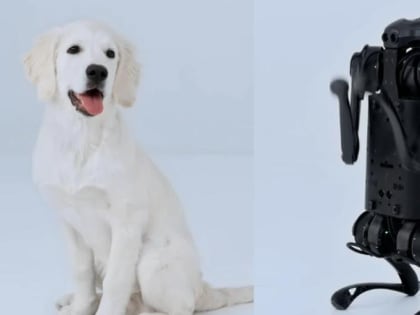 Студенты оживили собаку-робота с помощью нейросети