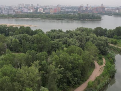 Будущий парк Усть-Тула начали расчищать в Новосибирске