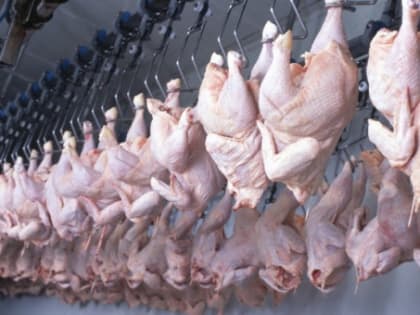 В продуктивности не потеряли