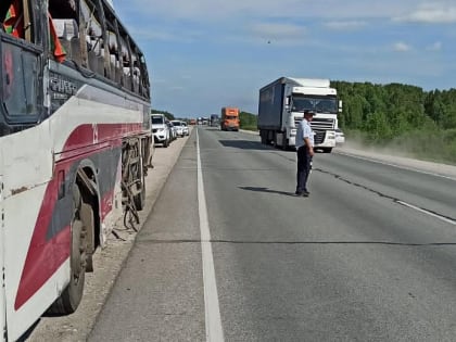 Четырёхлетняя девочка погибла на трассе в ДТП с автобусом из Новосибирска