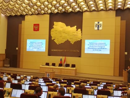 Бюджет Новосибирской области: перезагрузка взаимодействия с бизнесом и формирование внутреннего спроса