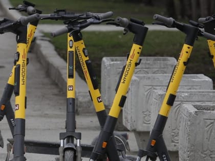 Семья упавшей с самоката сибирячки собирает деньги на лечение