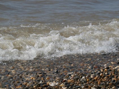 Осторожно, мазут: как помочь Анапе после экологической катастрофы