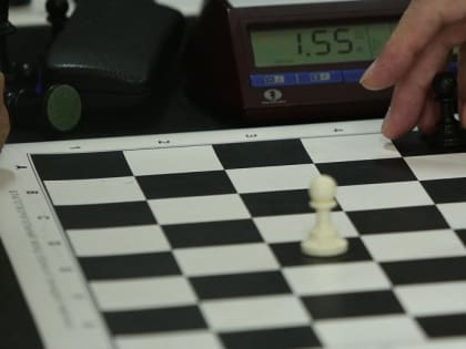 11 гроссмейстеров съехались в Кольцово на шахматный турнир