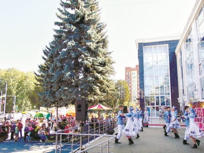Чемпионат ползунков привлек внимание всей страны