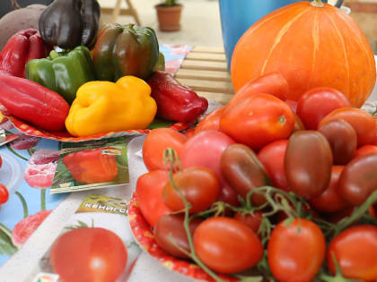 Новосибирцы стали реже есть фрукты и овощи