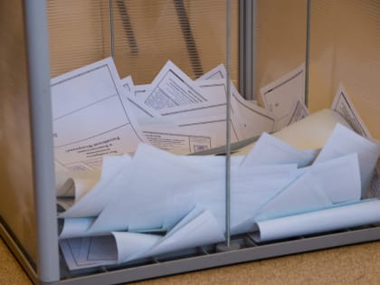 Явка на выборах губернатора в Алтайском крае составила около 25 процентов