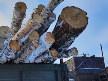 Бесплатные медицинские услуги для жителей города