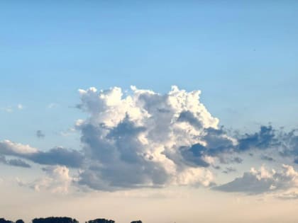 Погода в Новосибирске: тепло и переменная облачность на этой неделе