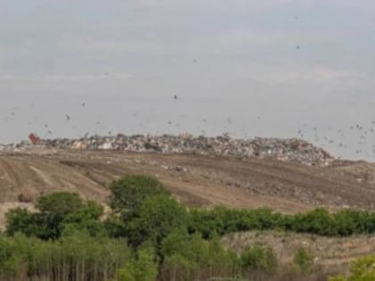 Хилокский полигон в Новосибирске закроют в течение ближайших двух лет