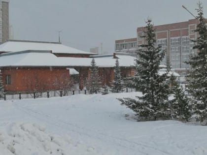 Центр «Сибирь-Хоккайдо» планирует снять 8 фильмов к 130-летию Новосибирска