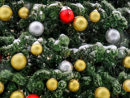 Новый год по-дальневосточному отметили в Первомайском парке