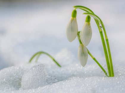 Погода в Новосибирске 12 апреля: с утра мороз, днем потепление