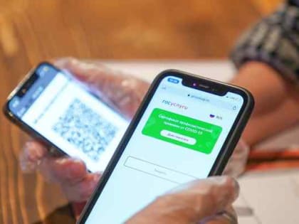 Повсеместный режим QR-кодов вводят в России: подробности