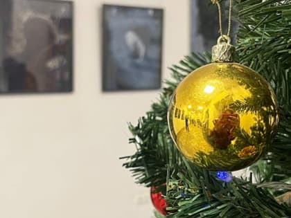 Афиша Новосибирска: куда сходить в понедельник, 15 января