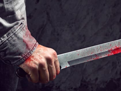 Житель Новосибирска обвиняется в убийстве знакомого в доме на Рентгеновской 32