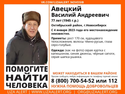 77-летний Василий Авецкий пропал в Новосибирске на праздниках