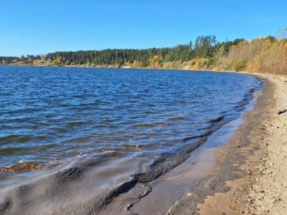 Необычное загрязнение на Бердской косе