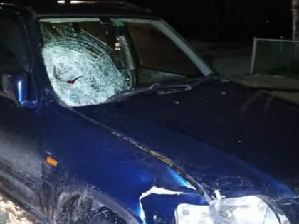 В Новосибирской области водитель кроссовера насмерть сбил 67-летнюю женщину