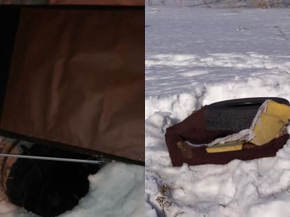 Ребёнок провалился в открытый колодец в Новосибирске