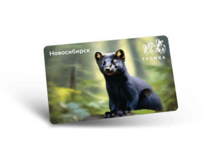 Ситуацию с переходом на новую систему транспортных карт обсудили в горсовете Новосибирска