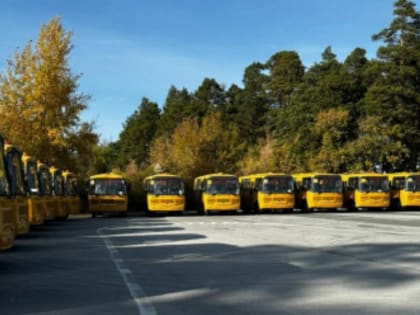 49 школьных автобусов придут в 24 района Новосибирской области