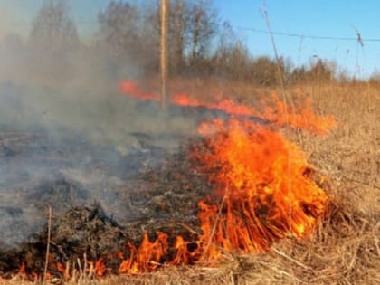 Мэрия Новосибирска о сжигании травы: не жечь, а измельчать