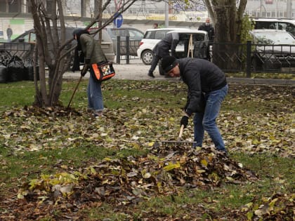 Масштабный субботник досрочно стартовал в Новосибирске