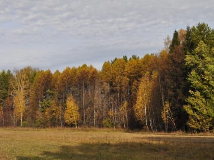 Первый осенний месяц: Прогноз погоды и настроение горожан