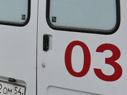 За сутки трое водителей погибли на трассах Новосибирской области