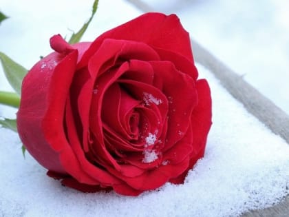 15-летний подросток покончил с собой после вечеринки