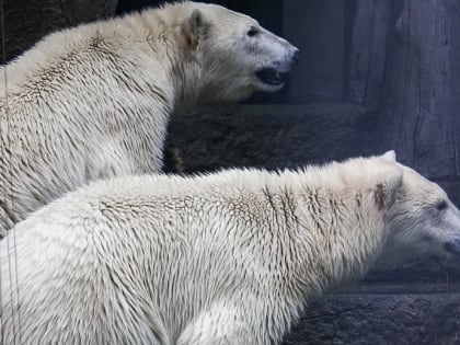Недавние события в Москве