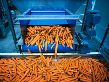 Росагромаркет увеличит площади хранения сельхозпродукции в Новосибирске