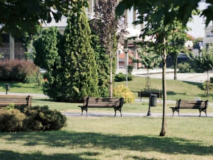 23 объекта благоустройства в Новосибирской области стали победителями Всероссийского голосования по нацпроекту