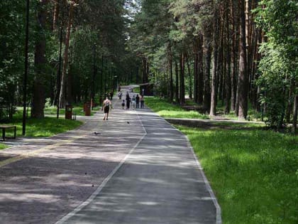 Благоустройство Заельцовского парка завершено на 90%